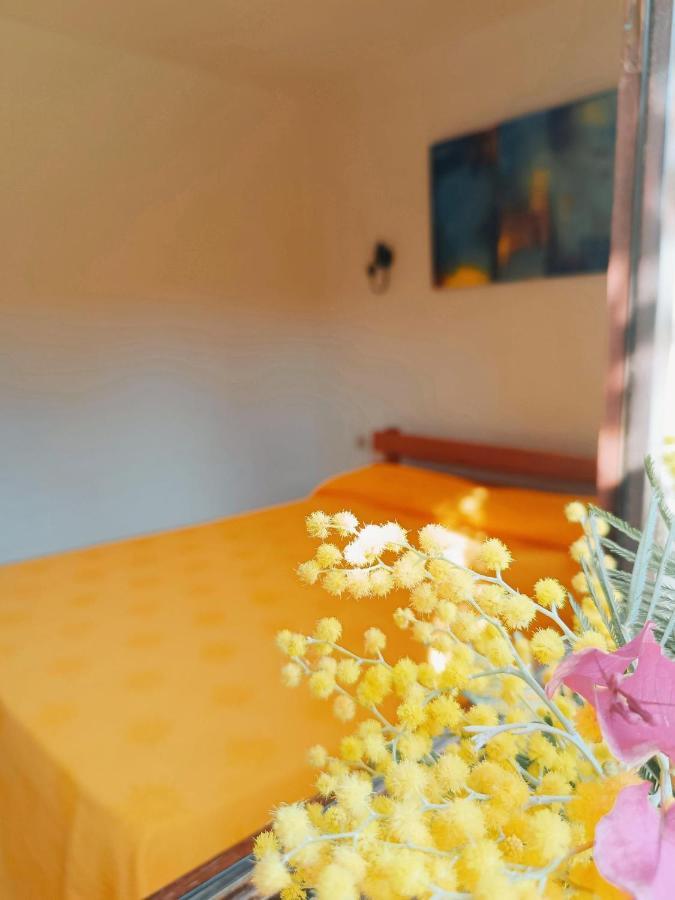 Residence Maina Cargèse Zewnętrze zdjęcie